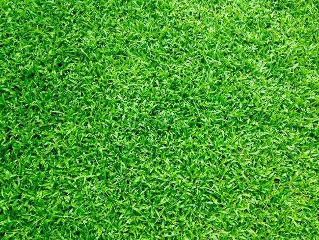 The Top Advantages of Synthetic Turf