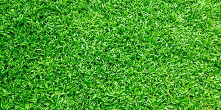The Top Advantages of Synthetic Turf