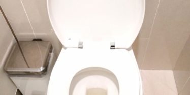 How Inspecting Your Toilet Can Save You Money
