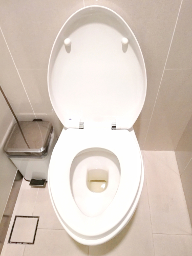 How Inspecting Your Toilet Can Save You Money
